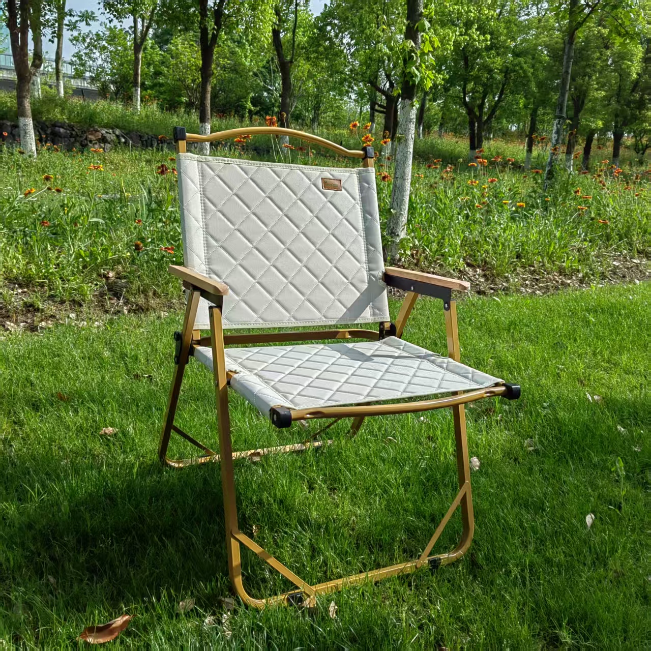 BEACH CHAIR